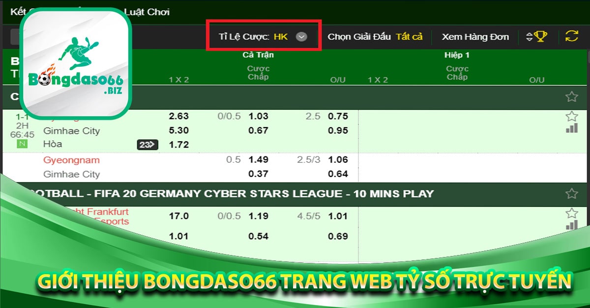 Giới thiệu Bongdaso66 trang web tỷ số trực tuyến